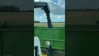 Here is a sneak peak into Henning's harvest episode.  #followafarmer #basf #biggestjobonearth