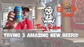 BEER TASTING with @TinyRebelBrewingCo