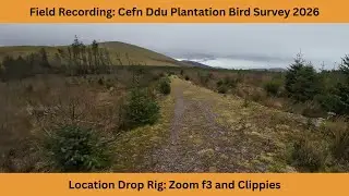 Field Recording Bird Survey Project 2026 | Cefn Ddu Forest Plantation | Drop Rig Zoom f3 & Clippies