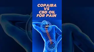 CBD vs Copaiba Oil: The ULTIMATE Pain Showdown!