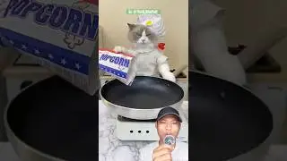 Miuw Bikin Popcorn ⁉️