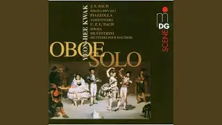 Sonata for Oboe Solo, G minor, Wq 132: Poco Adagio