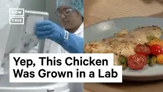 How Chicken Is Being Grown in Labs
