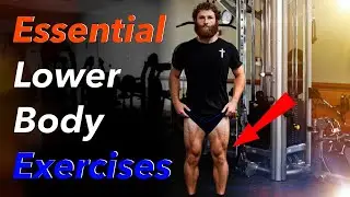 The 7 Best Lower Body Exercises for an Athletic Aesthetic