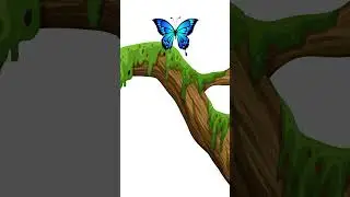 Blue Butterfly