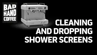 Cleaning and Dropping the Shower Screen on an Espresso Machine