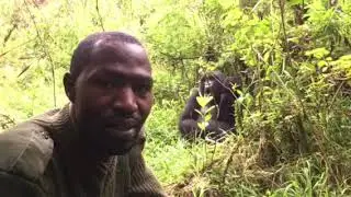 Live experience Sabyinyo Silverback Lodge, Rwanda