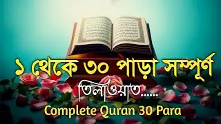 সম্পূর্ণ কোরআন তেলাওয়াত|৩০ পারা|হৃদয় শীতল কারা তেলাওয়াত|Complete Holy Quran Recitation by Alaa Aqel
