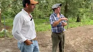 Destete: estrategias y herramientas para no perder kilos en invierno