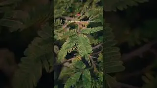 life is not same for everyone 😞 #trending #shorts #viral #sadstatus #sad