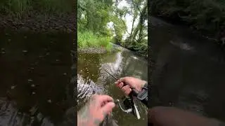 Reel In WITH The Flow To Catch Big Brown Trout! #shorts #browntroutfishing  #rapala