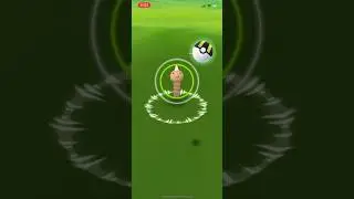 Catching a wild Weedle &bull; Pokemon Go