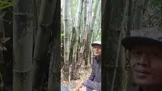 [FULL] MANFAAT MELINJO, REBUNG & KUNYIT | JejakAku PART 1 (01/02/2026)