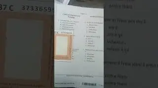 cg tet 2024 first paper answer