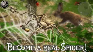 Ultimate Spider Simulator 2 - Android/iOS Gameplay