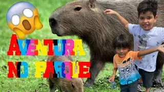 AVENTURA NO PARQUE  🐒🦆💛”