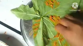 Arui ke patta kachari