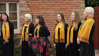 Croatian song Pjesma Udovice by Nevenka Folk Ensemble
