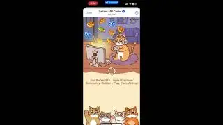 Catizen второй сезон - Как играть и сколько можно заработать - Обзор Дроп в КАТИЗЕН
