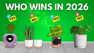 Top 5 Best Smart Flower Pot | AI & Self-Watering Planters for Home