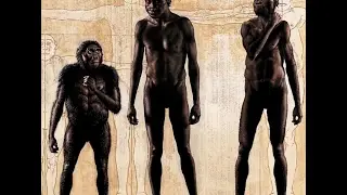 L'aube de l'humanit&eacute; (hominid&eacute;s) 720p