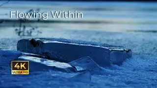 Flowing Within | Short Film | BPMCC 6K Pro