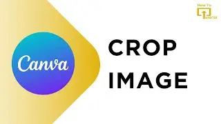 How to Crop Image On Canva? Canva Photo Cropping Tool