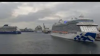 🍊5 Cruise 🛳️⬅️ 32Xfast- Regal Apex Sky Amsterdam Allure - Departing Fort Lauderdale January 22, 2022