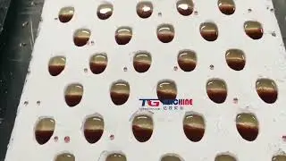 Starch-Based Forming System: Turnkey Solution for Candy/Chocolate Production