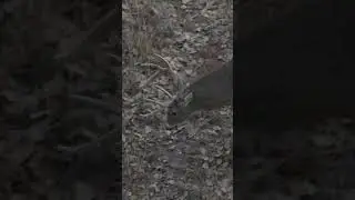 FULL VIDEO on our Channel. 