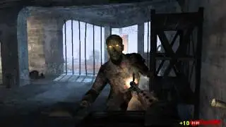 Call of Duty World at War - Modo zombie pc ( SG )