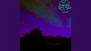 midnight synergy