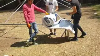 Armado de toldo de 6 x 10 m