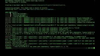 WEBPACK AND CREATE REACT APP