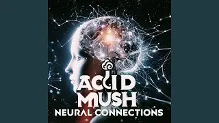 Neural Connections