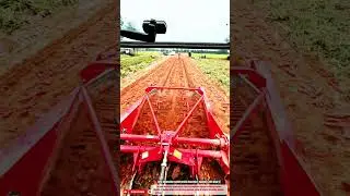 Best innovative sweet potato harvester machine with high yield