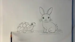 Turtle and rabbit drawing easy method 