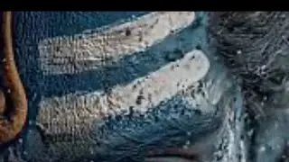 Bholenath Majha Mahadev