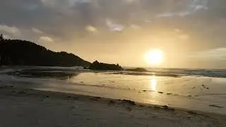 Fogarty Creek Beach
