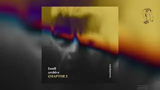 Fossil Archive - Dark Forces (Kneaded Pains)