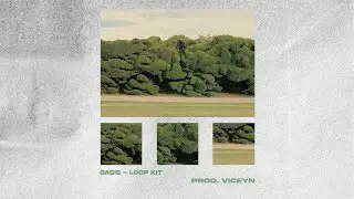 [FREE] REGGAETON LOOP KIT | 