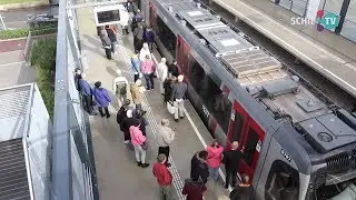 SCHIE TV: Hoekse Lijn rijdt eindelijk