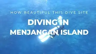#balidiving - Menjangan  Diving
