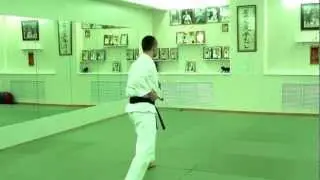 Sai-jutsu. Shotokan-ryu. Heian-shodan.MPG