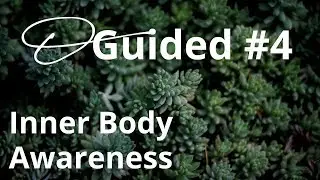 Guided Focusing #4 &ndash; A lead-in before Focusing