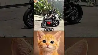 Husband Was Hit in the Wrong Places 😱🤣 #funny #cat #dance #shorts
