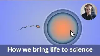 Bringing Life to Science: The art behind creating animations