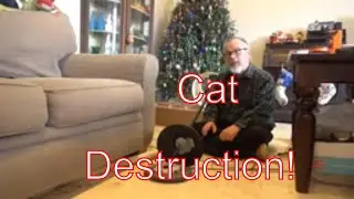 Cat Attack! Lamp Repair