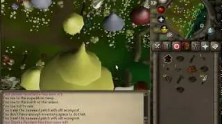 Bird house run including banking
