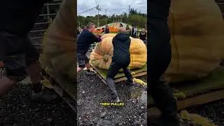 Inside the World&rsquo;s Strangest Pumpkin
